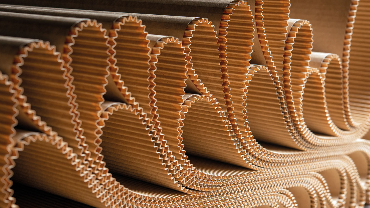 The importance of quality skips