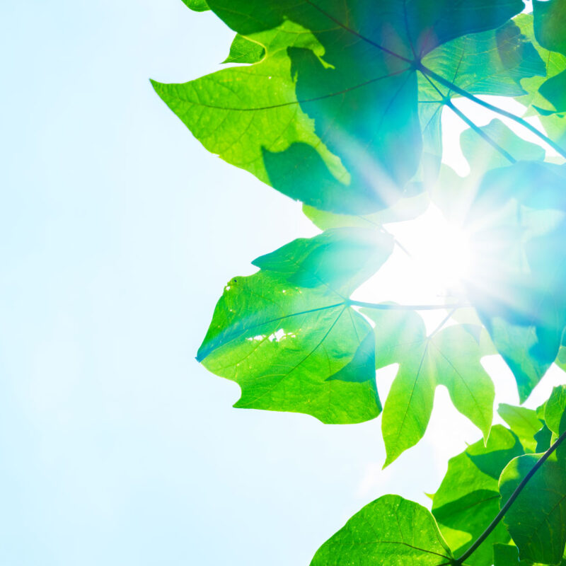 shutterstock 1982291918