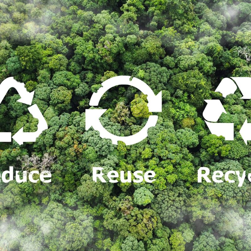 Understanding the Waste Hierarchy: A Guide to Sustainable Waste Management cover