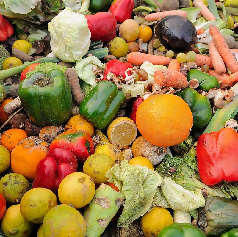 Food Waste Facts Statistics