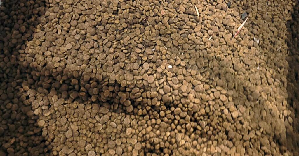 Home 11 IPN Sustainability in Pet Food Manufacturing