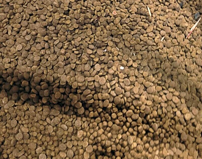 IPN Sustainability in Pet Food Manufacturing