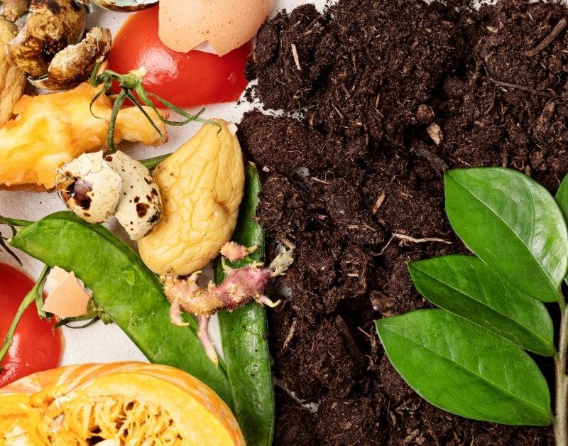 New Food Waste Legislation UK